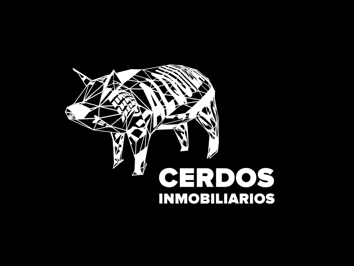 Fernando Foglino, Premio Mercosur, Cerdos Inmobiliarios, Casas abandonadas, Uruguay