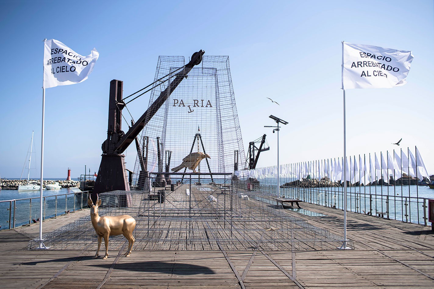 Fernando Foglino - Patria / Paria