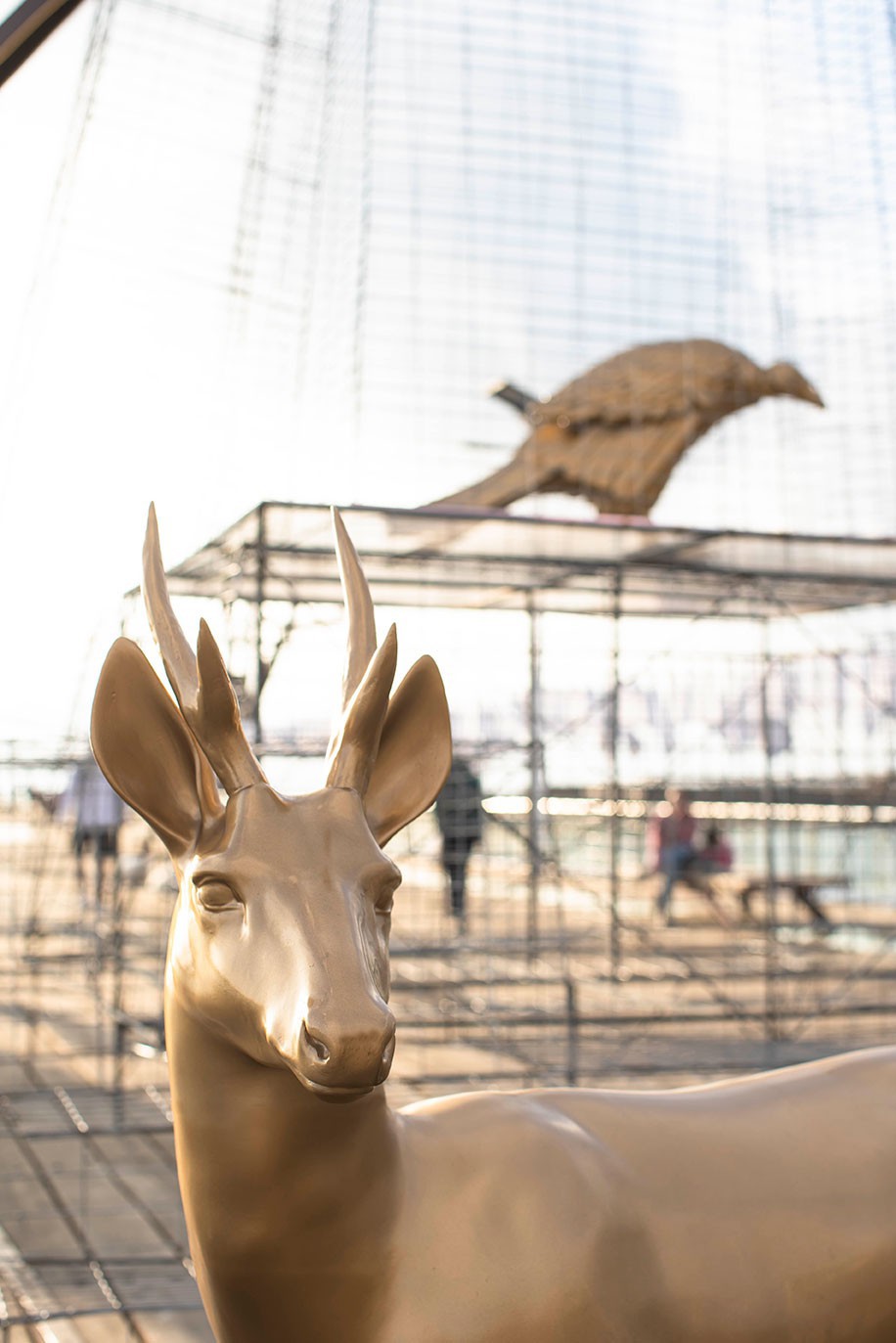 Fernando Foglino -  Patria/Paria