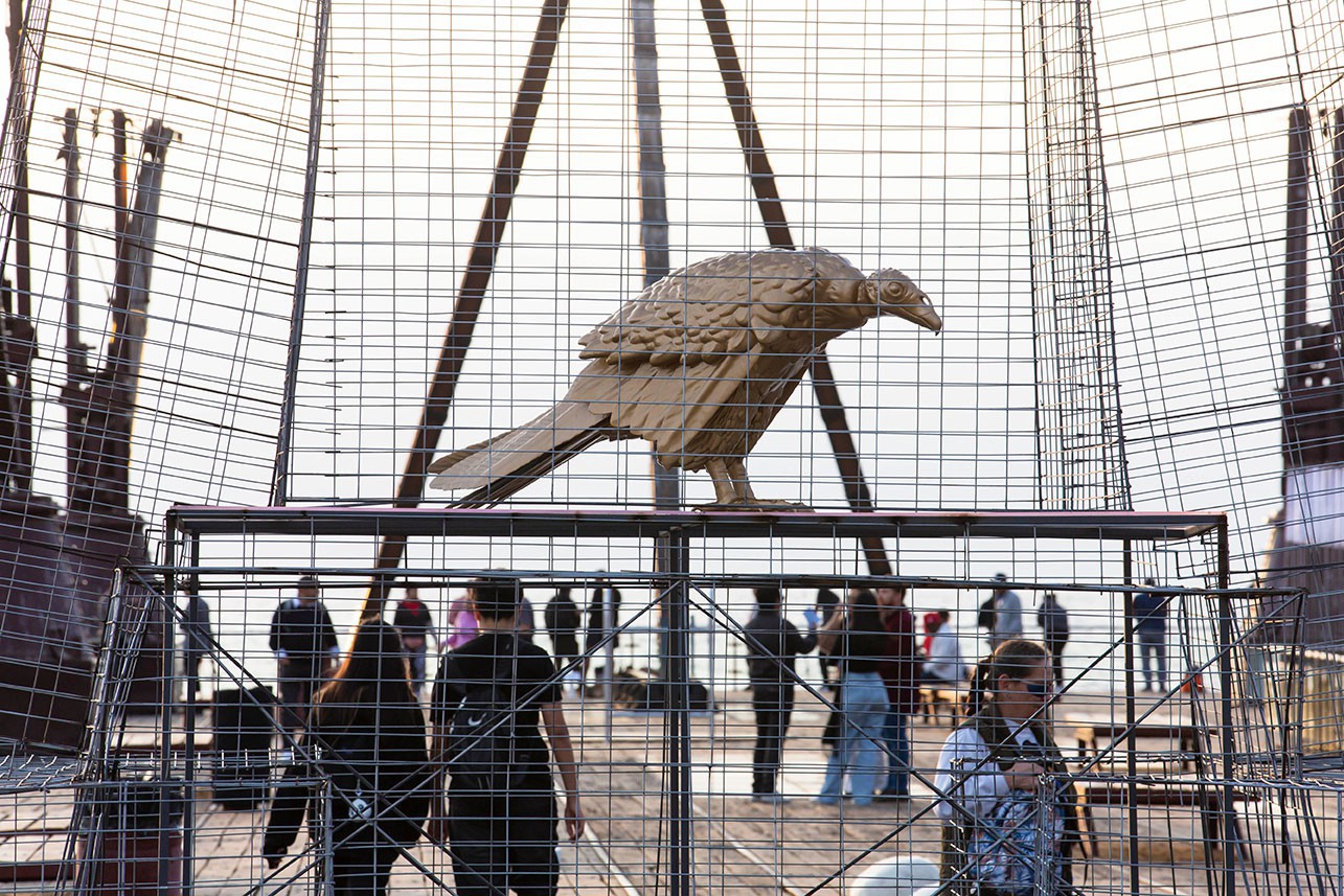 Fernando Foglino - Patria / Paria